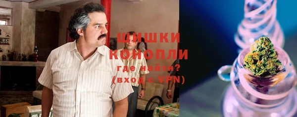 mdpv Богданович