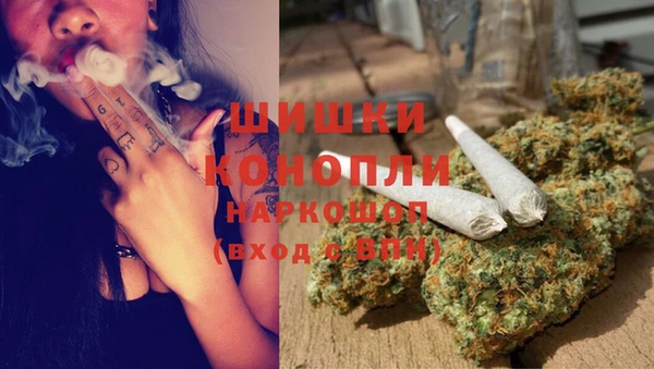 хмурый Богородицк