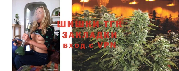 mdpv Богданович