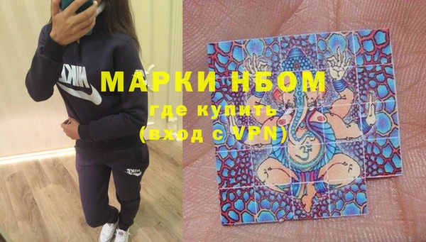 хмурый Богородицк